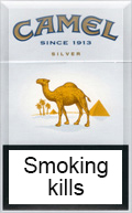 Camel Silver